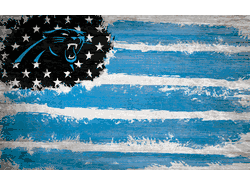 Carolina Panthers Flag 11x19.
