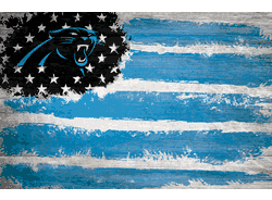 Carolina Panthers Flag 17x26