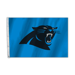 Carolina Panthers Flag 2x3 CO
