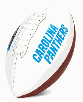 Carolina Panthers Franklin NFL Team Signature Autograph White Panel Football
