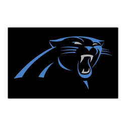 Carolina Panthers HiDef Rookie Mat - 18in. X 30in.