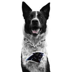 Carolina Panthers Pet Fan Chain