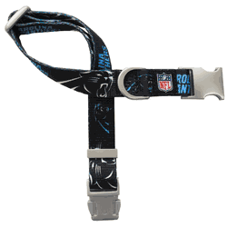 Carolina Panthers Premium Pet Collar L