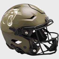 Carolina Panthers SpeedFlex Full Size Football Helmet SALUTE TO SERVICE