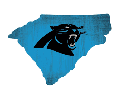 Carolina Panthers Team Color Logo State Sign