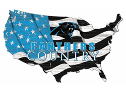 Carolina Panthers USA Shape Flag Cutout