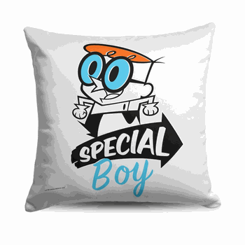 Cartoon Network Dexter's Laboratory Very Special Boy Throw Pillow 18x18 Inches
