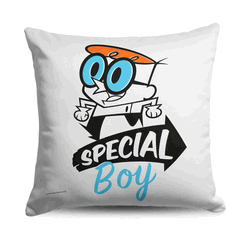 Cartoon Network Dexter's Laboratory Very Special Boy Throw Pillow 18x18 Inches