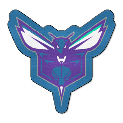 Charlotte Hornets Mascot Rug