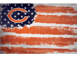 Chicago Bears Flag 17x26