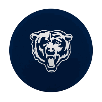 Chicago Bears High Bounce Ball