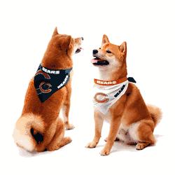 Chicago Bears Home and Away Pet Bandana Set Large