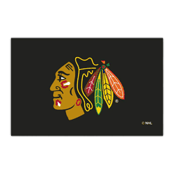 Chicago Blackhawks HiDef Rookie Mat - 18in. X 30in.
