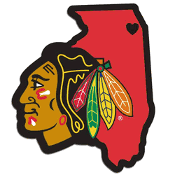 Chicago Blackhawks Home State Decal