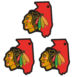 Chicago Blackhawks Home State Decal, 3pk