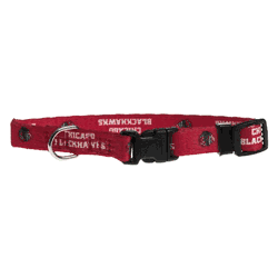 Chicago Blackhawks Pet Team Collar TeaCup
