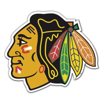 Chicago Blackhawks Vinyl Magnet