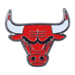 Chicago Bulls