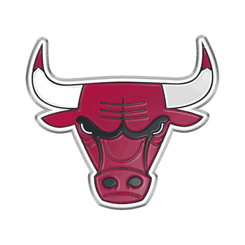 Chicago Bulls Heavy Duty Aluminum Embossed Color Emblem