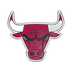 Chicago Bulls Heavy Duty Aluminum Embossed Color Emblem