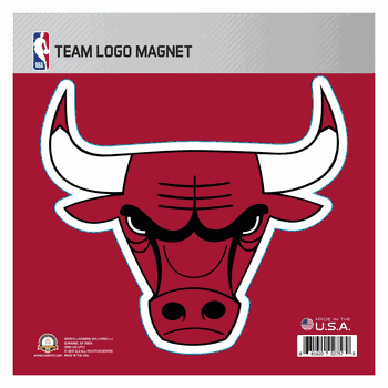 Chicago Bulls Large Team Logo Magnet 10