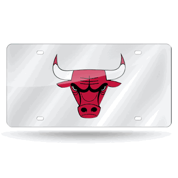 Chicago Bulls Silver 12