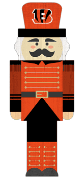 Cincinnati Bengals 31