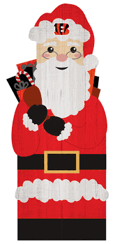 Cincinnati Bengals 31