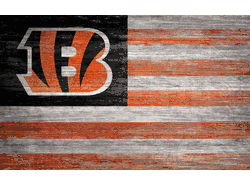 Cincinnati Bengals Distressed Flag 11x19