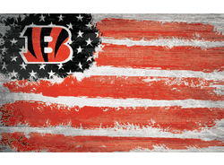 Cincinnati Bengals Flag 11x19.