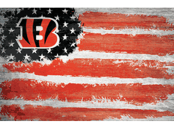 Cincinnati Bengals Flag 17x26