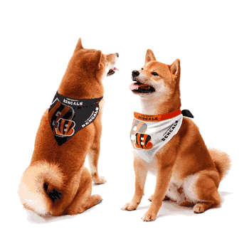 Cincinnati Bengals Home and Away Pet Bandana Set Small