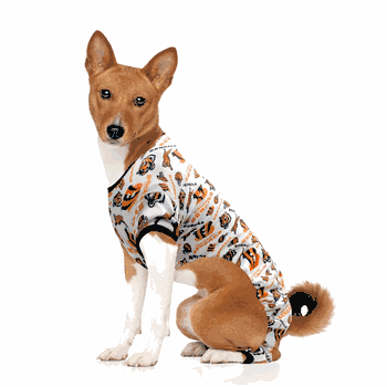 Cincinnati Bengals Pet PJs Large