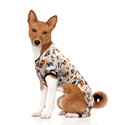 Cincinnati Bengals Pet PJs XL