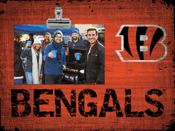 Cincinnati Bengals Team Name Clip Frame