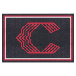 Cincinnati Reds 5ft. x 8 ft. Plush Area Rug