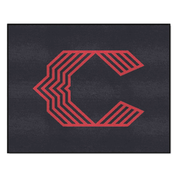 Cincinnati Reds All-Star Rug - 34 in. x 42.5 in.