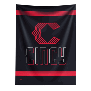 Cincinnati Reds MLB City Connect Wall Hanging
