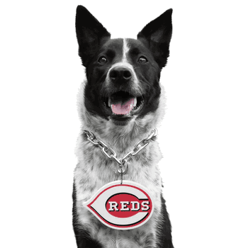 Cincinnati Reds Pet Fan Chain