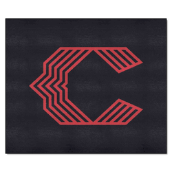 Cincinnati Reds Tailgater Rug - 5ft. x 6ft.