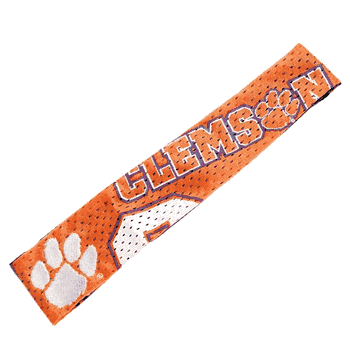 Clemson Tigers FanBand
