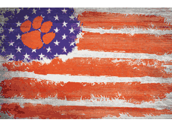 Clemson Tigers Flag 17x26