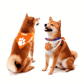 Clemson Tigers Home and Away Pet Bandana Set Small