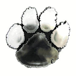 Clemson Tigers Molded Chrome Plastic Emblem