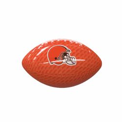 Cleveland Browns Carbon Fiber Mini-Size Glossy Football