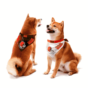 Cleveland Browns Home and Away Pet Bandana Set Medium