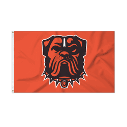 Cleveland Browns Secondary Logo 3' x 5' Banner Flag Single Sided