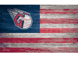 Cleveland Guardians Distressed Flag 11x19