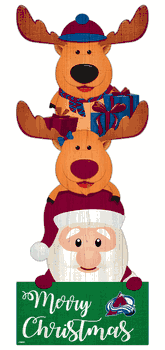 Colorado Avalanche 31