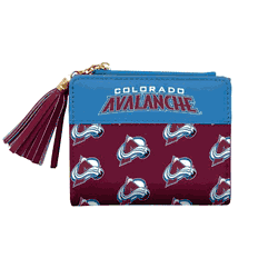 Colorado Avalanche Mini Organizer